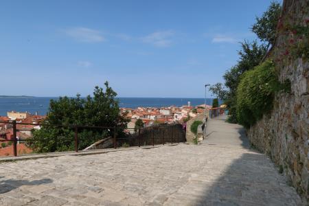 Prenova tlaka na Adamičevi ulici v Piranu I Rinnovo della pavimentazione di Via Adamič a Pirano (4)